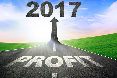 Profit: Word of the Year for 2017