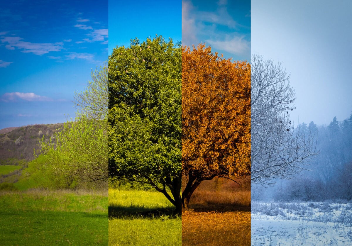 Seasonality In Business Can Lead To Bad Data